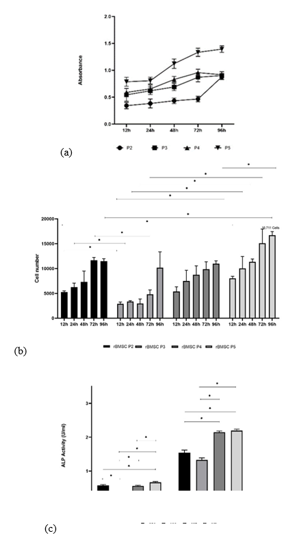 Proliferation kinetics and alkaline phosphatase activity of rat bone
marrow stem cells. (a) Cell proliferation in passages 2-5; each point
represents the average of the absorbance obtained at 12, 24, 48, 72 and 96 h.
(b) Bars represent the average number of cells obtained at each of the times
for passages 2-5. Bars represent the standard deviation of the mean and * is
the significance when the p value < 0.05. (c) Alkaline phosphatase activity
was evaluated in passages 3-5 with osteogenic induction and their respective
controls for 21 days. Bars represent the standard deviation of the mean and *
is the significance when the p value < 0.05.