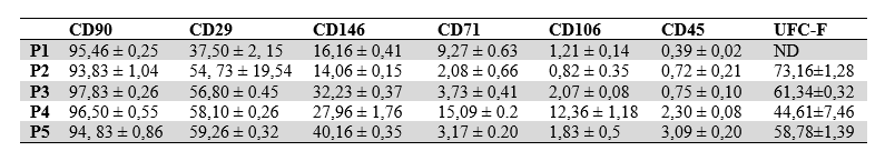 Expression of stem cell markers. Positive for CD90, CD29 and CD146 is
found. There was no expression for CD71 and CD106. The depletion of the CD45+
populations in the primary culture made it possible to reduce this marker in
the passages evaluated. The growth efficiency in CFU-F was also determined in
the evaluated passages.