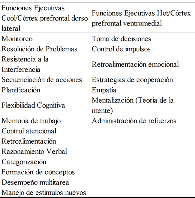 Tipos de funciones ejecutivas