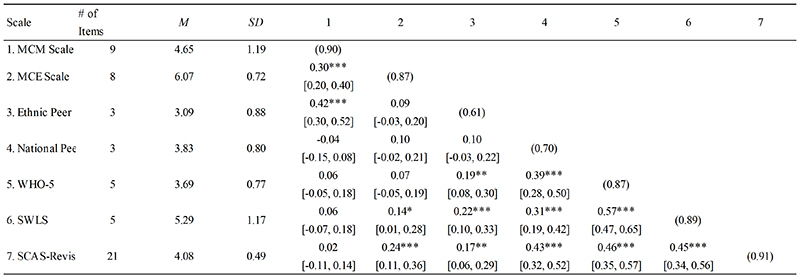 Descriptive Statistics and Correlations between the
Measures