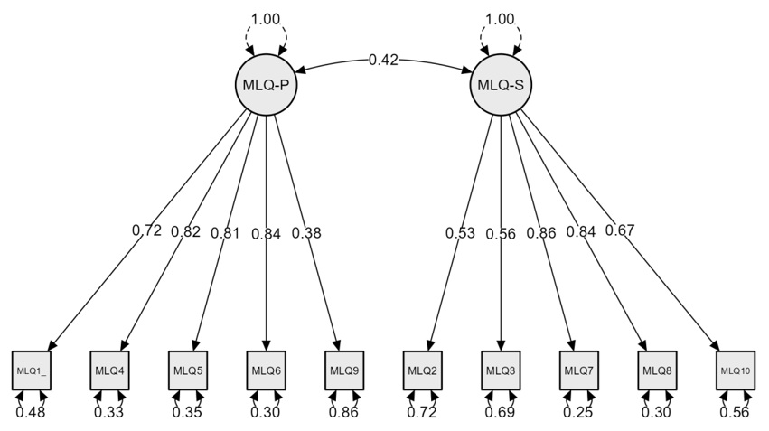 Model for the MLQ obtained
in this study.