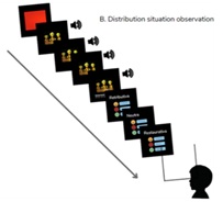 Visualization
of participant group assignment and procedure. 

Source: own work.