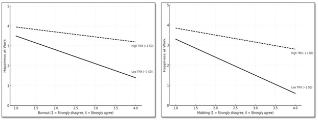 TMX
as a moderator of the relationships between burnout and mobbing with happiness
at work