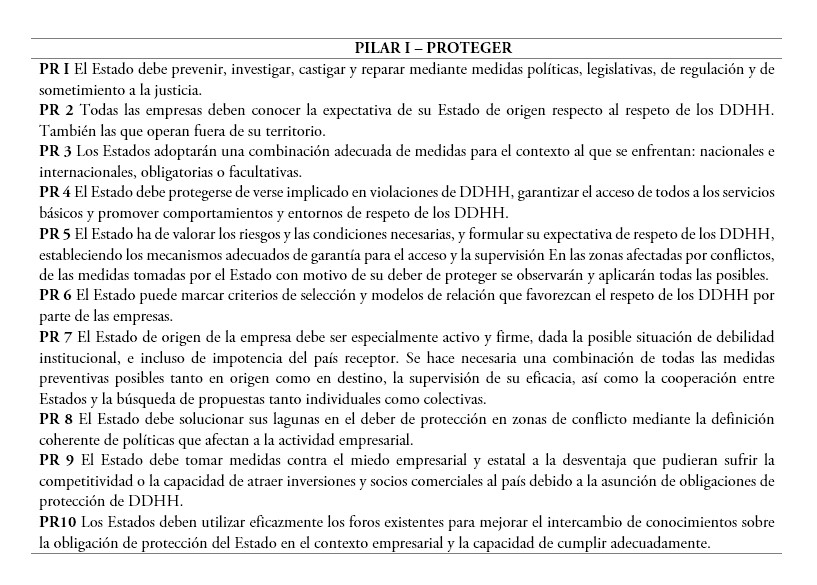 Listado de los 31 principios rectores. Pilar I. Proteger